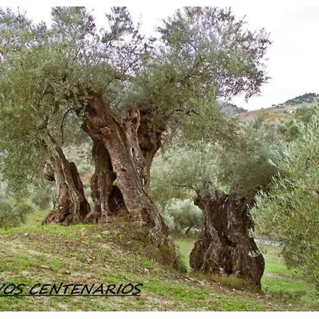 Montiel Holiday home *