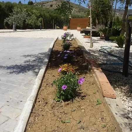 Montiel